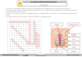 recursosep