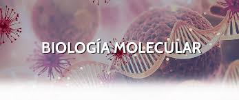 biologia molecular