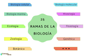 biologia que estudia