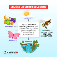 ecologia que es