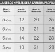 desarrollo profesional ses