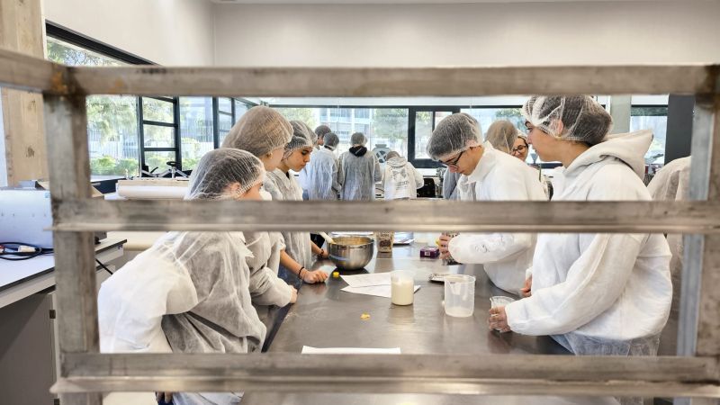 instituto de agroquímica y tecnología de alimentos