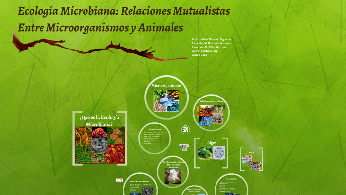 ecologia microbiana