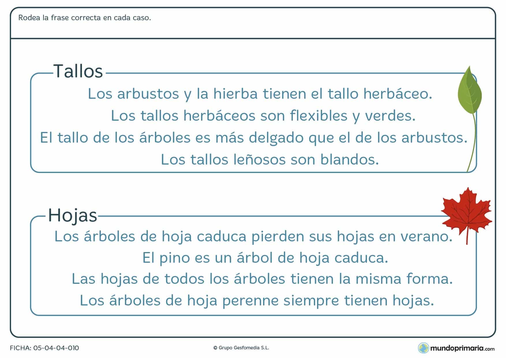 actividades ciencias naturales primaria pdf
