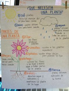 proyecto ciencias naturales primaria