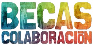 becas de colaboración opiniones