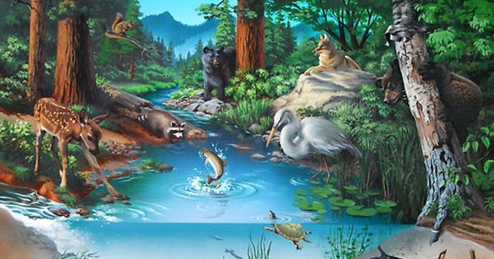comunidad ecologia