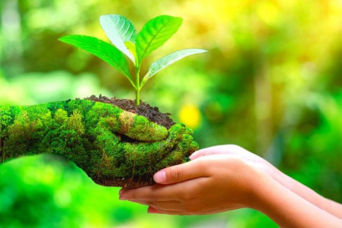 dia mundial de la ecologia